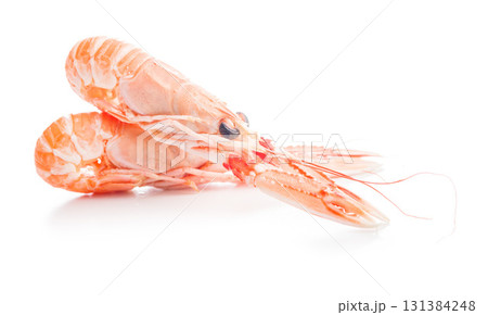 Scampi langoustine isolated on white background. 131384248