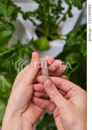 Holding a Seed Vial in a Nurturing Indoor Garden Filled with Vibrant Life and Growth 131384264