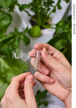 Holding a Seed Vial in a Nurturing Indoor Garden Filled with Vibrant Life and Growth 131384265