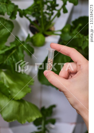 Holding a Seed Vial in a Nurturing Indoor Garden Filled with Vibrant Life and Growth Holding a Seed Vial in a Nurturing Indoor Garden Filled with Vibrant Life and Growth 131384273