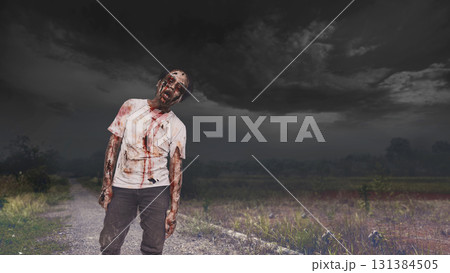Scary male zombie with a wound and bloody walking on the gravel path. The scene is scary and creepy. Dramatic sky. Concept of Spooky Halloween Scary male zombie with a wound and bloody walking on the gravel path. The scene is scary and creepy. Dramatic sky. Concept of Spooky Halloween 131384505