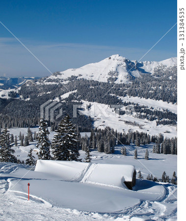 Ski tracks in the Toggenburg Valley, Switzerland. Ski tracks in the Toggenburg Valley, Switzerland. 131384535