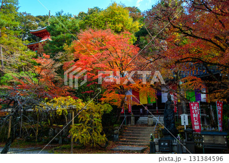 紅葉に包まれた秋の今熊野観音寺 131384596