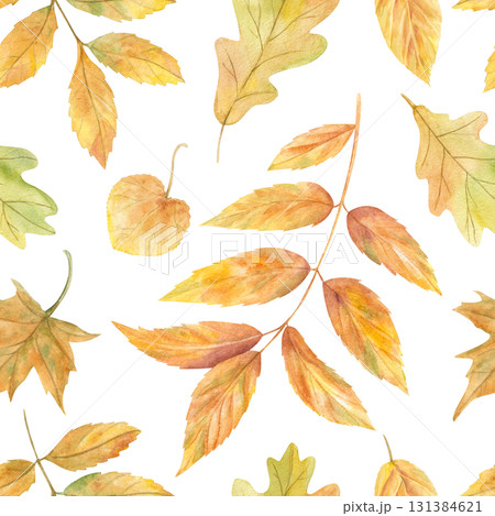 Watercolor autumn falling leaves in orange, yellow, green colors seamless pattern on isolated background. Fall maple, oak, elm, ash leaf illustration. Flying foliage ornate for textile, package. 131384621