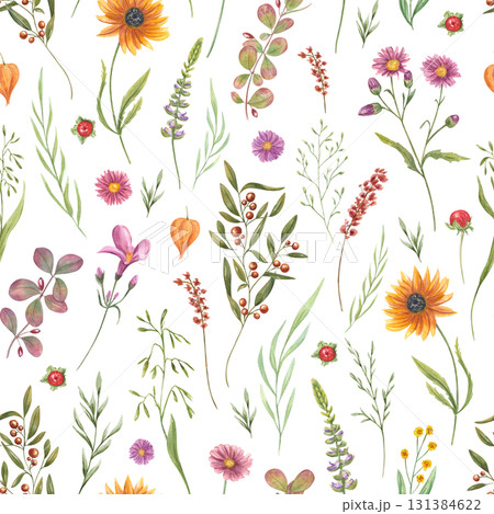 Blooming meadow and garden plants watercolor seamless pattern on isolated background. Hand panted flowers, berries, spikelet, leaves illustration. Floral ornate for fabric print, wallpaper design. 131384622