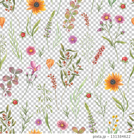 Blooming meadow and garden plants watercolor seamless pattern on isolated background. Hand panted flowers, berries, spikelet, leaves illustration. Floral ornate for fabric print, wallpaper design. 131384622