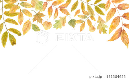Watercolor autumn flying foliage horizontal frame on isolated background. Fall rowan, oak, maple, ash, elm, poplar leaf rectangle border with copy space for text. Golden foliage illustration. 131384623
