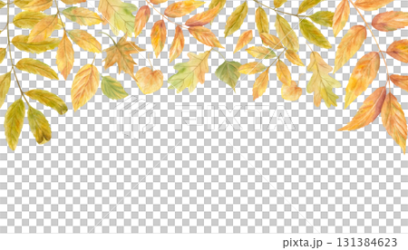Watercolor autumn flying foliage horizontal frame on isolated background. Fall rowan, oak, maple, ash, elm, poplar leaf rectangle border with copy space for text. Golden foliage illustration. 131384623