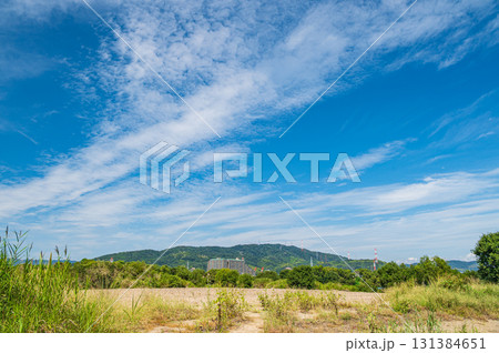 秋の淀川風景　大阪府枚方市 131384651
