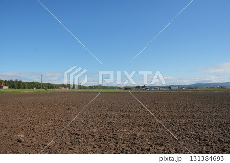 北海道の畑 北海道の畑 131384693