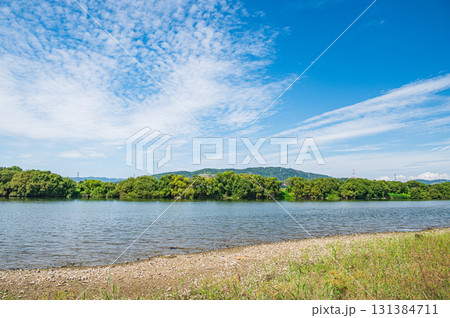 秋の淀川風景 大阪府枚方市 秋の淀川風景 大阪府枚方市 131384711