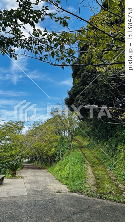 Fork in the road − 分かれ道 Fork in the road − 分かれ道 131384758