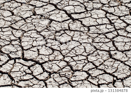 dried up cracked earth in absence of water dried up cracked earth in absence of water 131384878