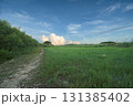 田舎の長閑な田舎風景に長く伸びる道 131385402