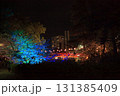 岡崎公園の夜桜と赤い橋のライトアップ風景 131385409