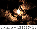 電球に照らされた岡崎公園の夜桜ライトアップ 131385411