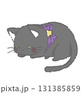 眠っている黒猫 131385859