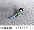 上を見上げるシジュウカラ 131386029