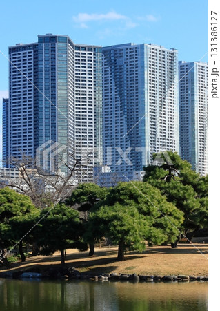 日本庭園と高層ビル群 浜離宮恩賜庭園から見た汐留のビル群 日本庭園と高層ビル群 浜離宮恩賜庭園から見た汐留のビル群 131386127