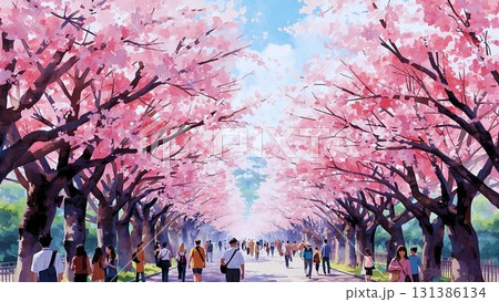桜まつりの参道と満開の桜並木イラスト(春・水彩風) 桜まつりの参道と満開の桜並木イラスト(春・水彩風) 131386134