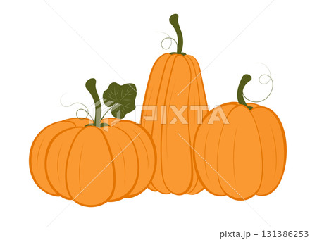 Pumpkins isolated on white background. Pumpkin Day. Harvest Day. Elements for design banner, poster, invitation, advertisement, greeting card. Pumpkins isolated on white background. Pumpkin Day. Harvest Day. Elements for design banner, poster, invitation, advertisement, greeting card. 131386253