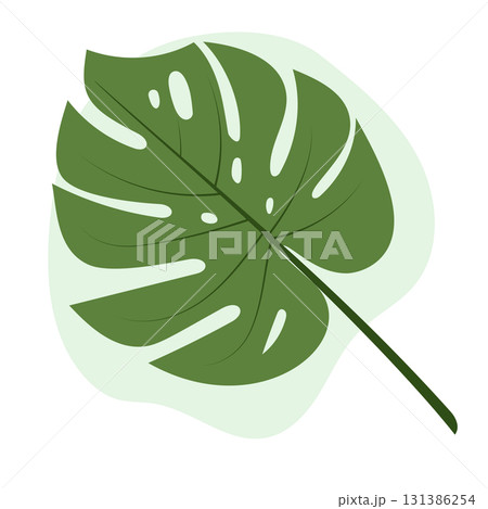 Monstera leaf on white background. Green plant vector. Element for design. Monstera leaf on white background. Green plant vector. Element for design. 131386254