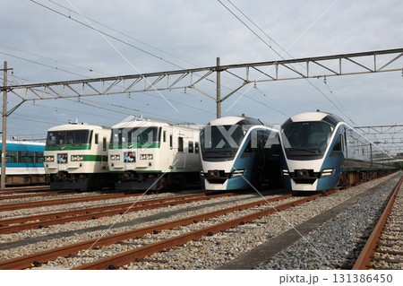 185系、E261系電車 185系、E261系電車 131386450