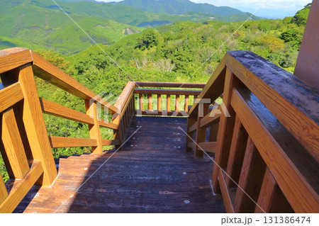 展望台 階段 山地 森林 展望台 階段 山地 森林 131386474