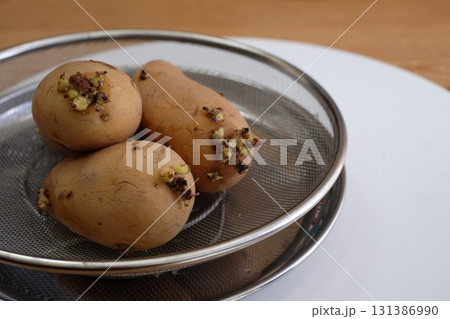 芽が生えたジャガイモ 131386990