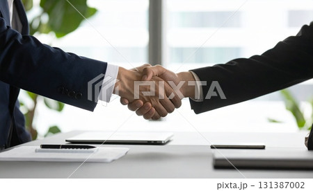 握手する2人のビジネスマン 握手する2人のビジネスマン 131387002