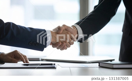 握手する2人のビジネスマン 握手する2人のビジネスマン 131387005