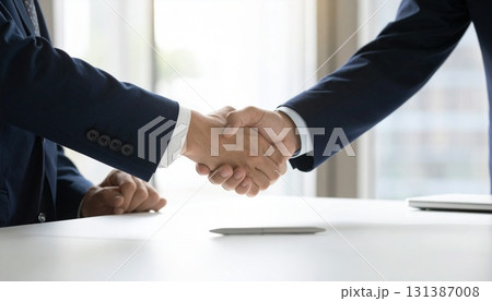 握手する2人のビジネスマン 握手する2人のビジネスマン 131387008