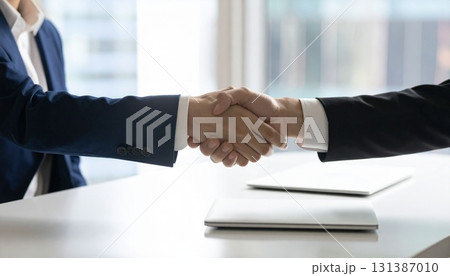 握手する2人のビジネスマン 131387010