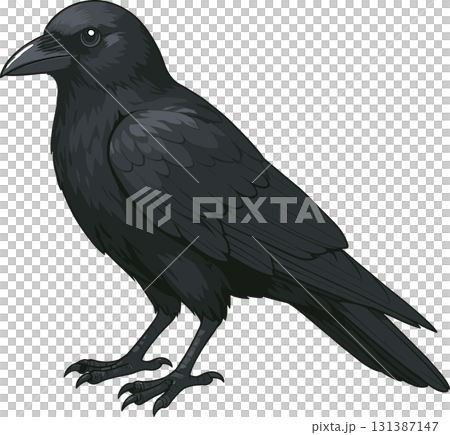 一隻面向左邊的烏鴉的插圖 131387147