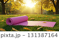 秋の公園で日差しを浴びる芝生のヨガマット 131387164