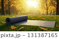 秋の公園で日差しを浴びる芝生のヨガマット 131387165