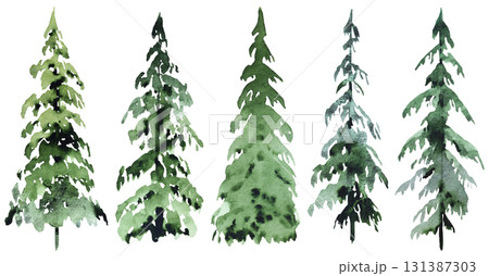 Hand drawn watercolor green spruce or pine trees, isolated illustration for winter stationery 131387303