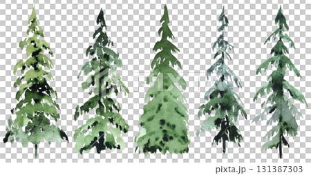Hand drawn watercolor green spruce or pine trees, isolated illustration for winter stationery 131387303