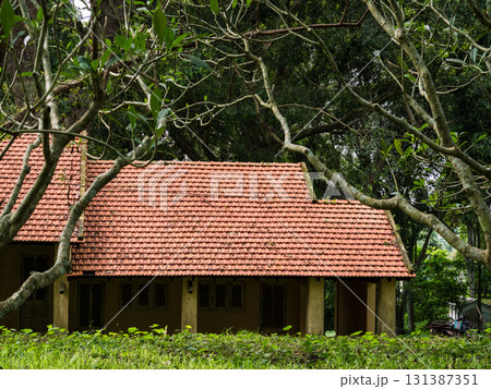 old house in the garden 131387351