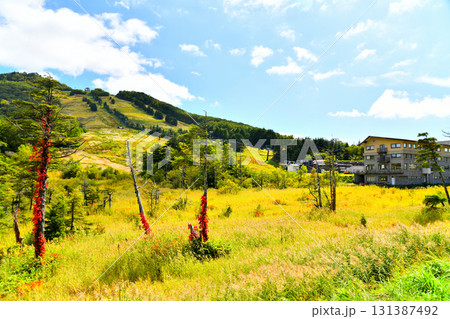 初秋の高天ヶ原マンモススキー場(長野県山ノ内町)【2025.9】 131387492