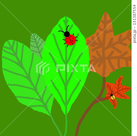 Two different ladybugs on the leaves. 131387554