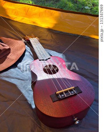 初夏の公園で弾く爽やかで可愛いウクレレピクニック 131387669