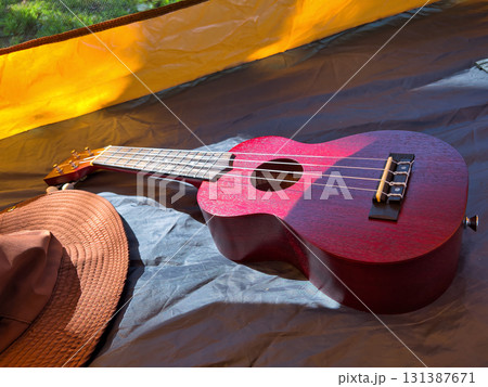 初夏の公園で弾く爽やかで可愛いウクレレピクニック 131387671