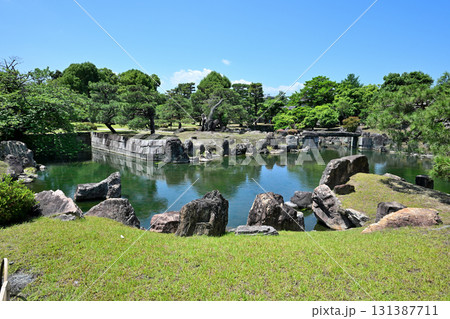 京都「二条城」日本庭園 池と植木 京都「二条城」日本庭園 池と植木 131387711