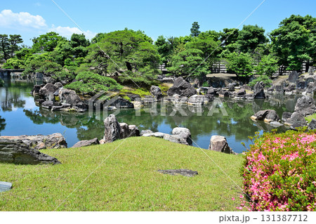 京都「二条城」日本庭園　池と植木 131387712