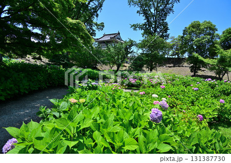 京都「二条城」門跡と石垣 131387730