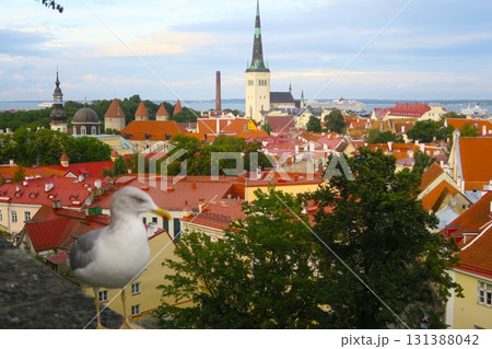 トームペアから見たタリン旧市街 トームペアから見たタリン旧市街 131388042