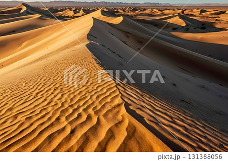 sand dunes in the desert 131388056