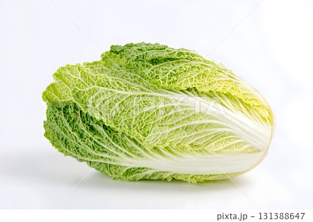 A whole napa cabbage sits alone on a white background. A whole napa cabbage sits alone on a white background. 131388647