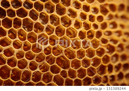 Golden honeycomb cells hold sweet liquid. 131389244